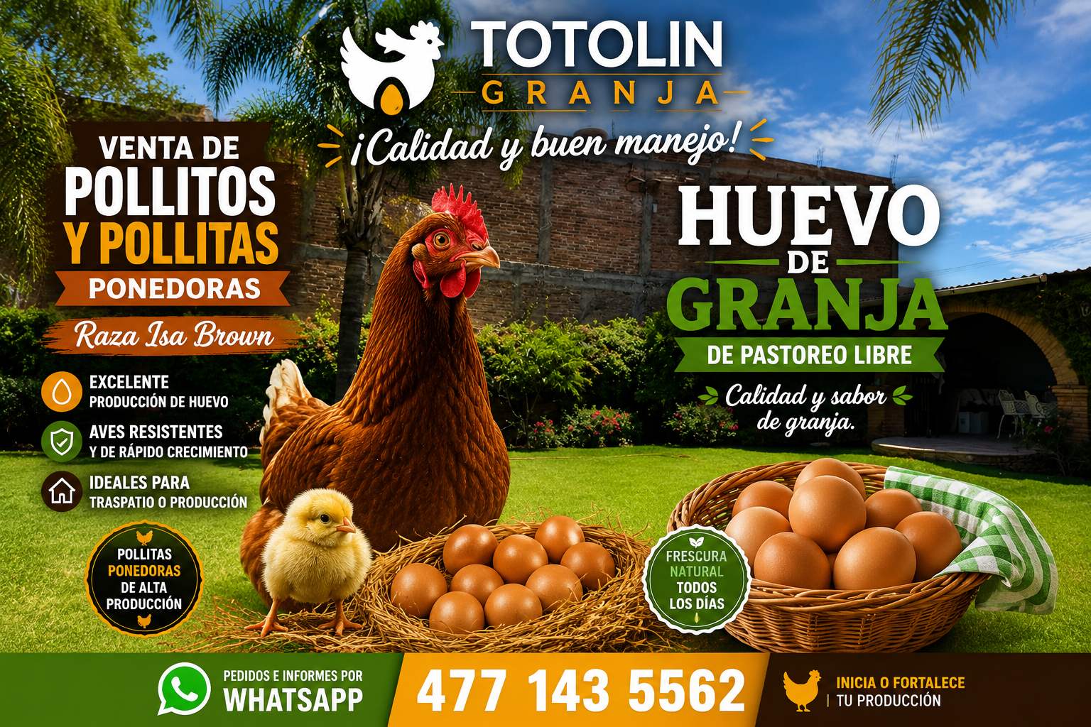 Titolin Granja — imagen 3