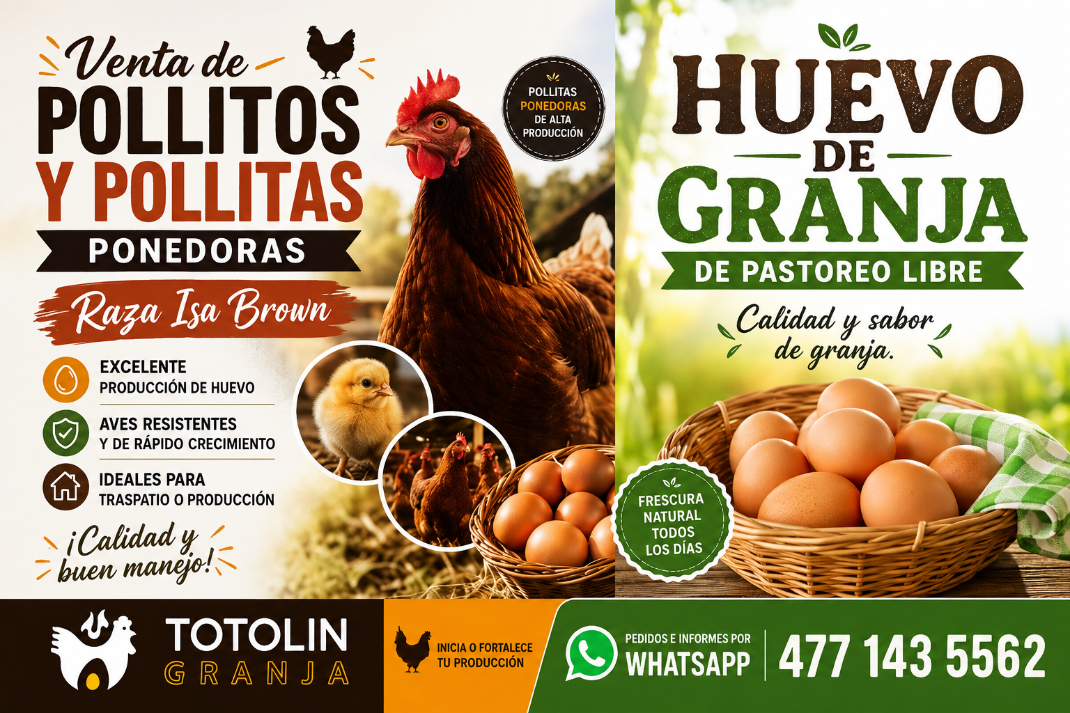 Titolin Granja — imagen 4